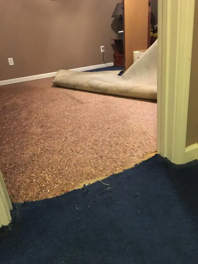 Carpet pad removal revealing water damage during Drying & Dehumidification in Stickney