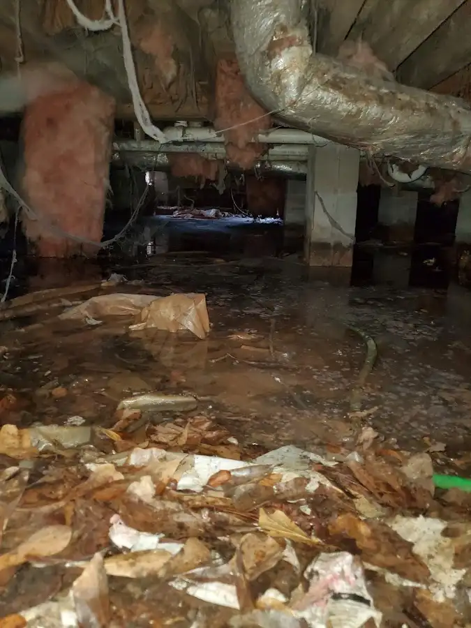 Crawl space flood assessment for Leak Detection & Repair in Stickney