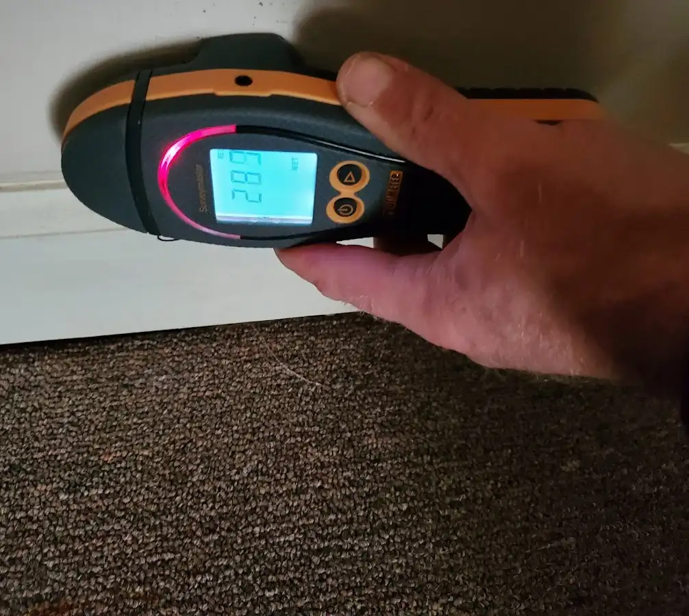 Moisture detection at baseboard during Sewage Cleanup & Sanitation in Stickney